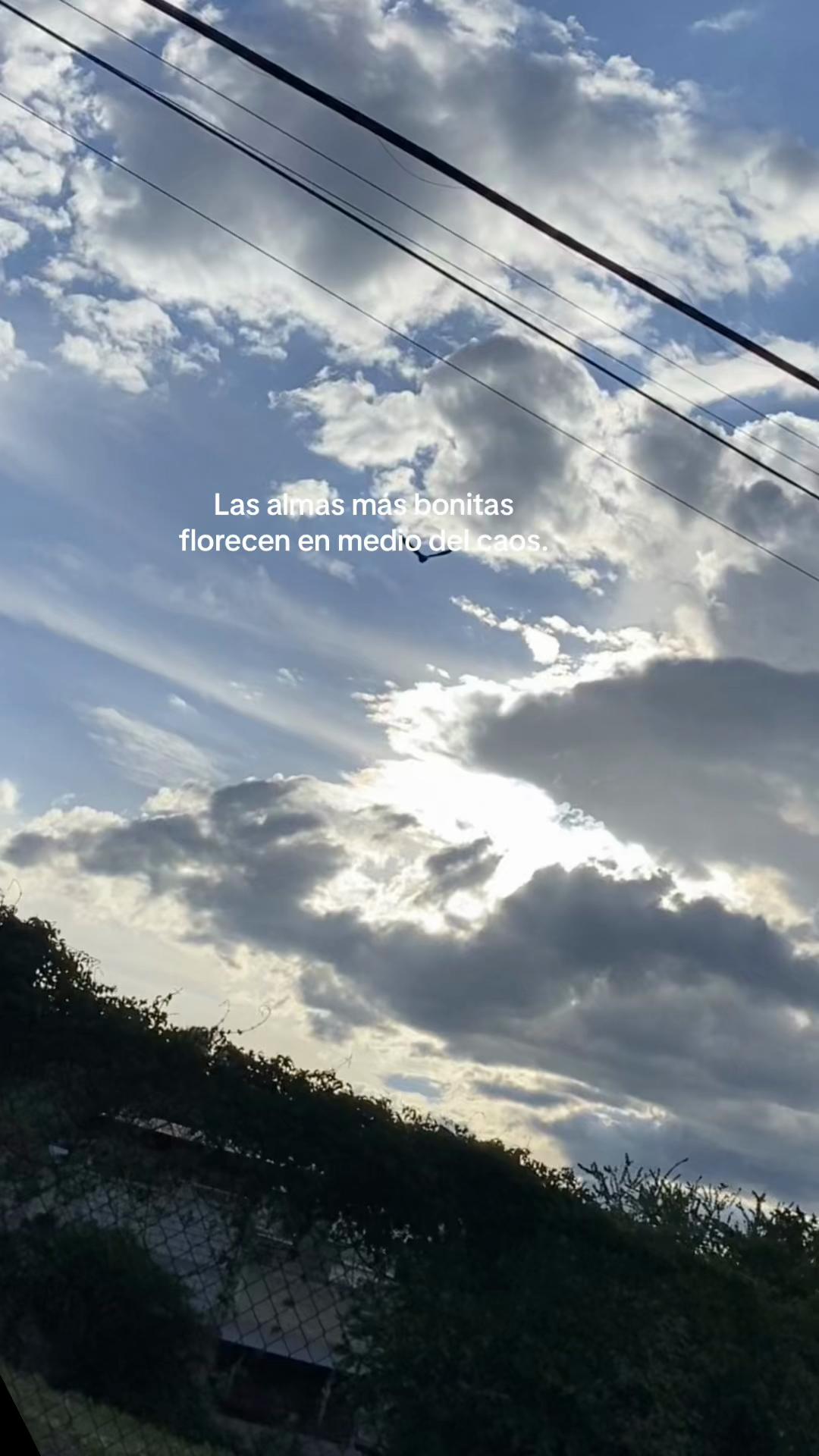 @🌙