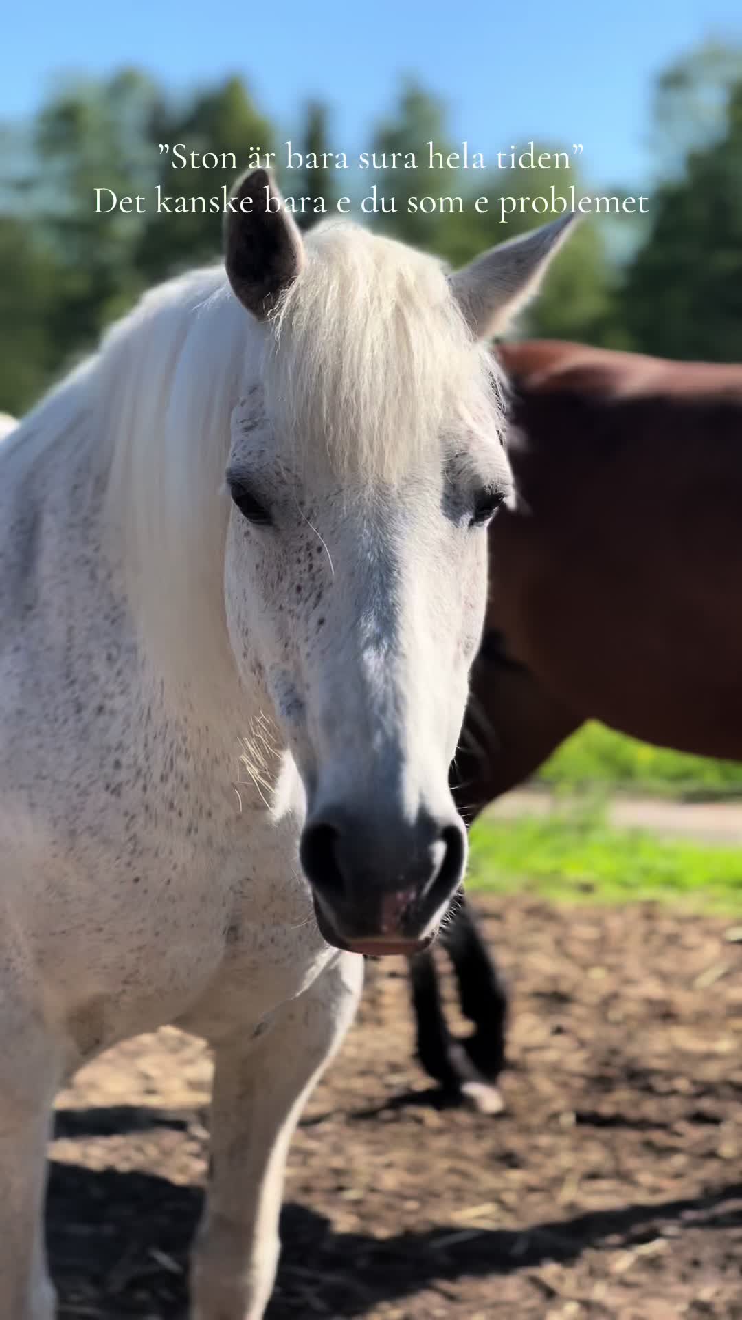 @♡Ronja♡