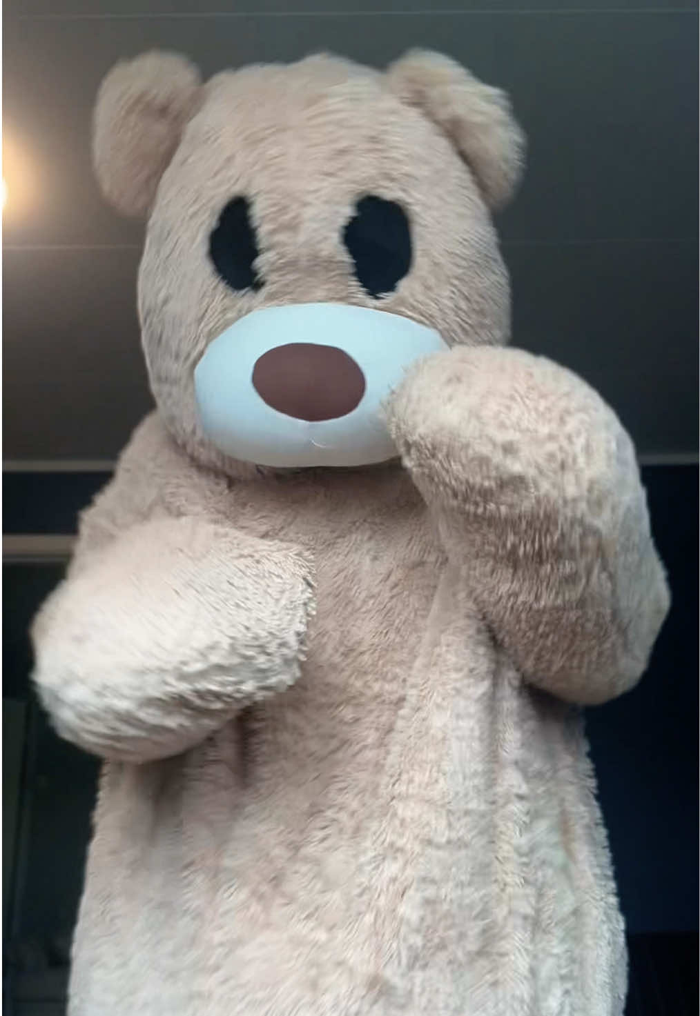 @teddytok