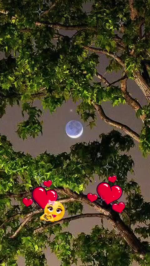 @dios es amor 🙏🤲❤️