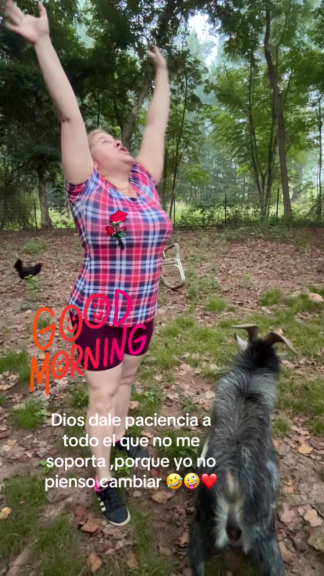 @Soleny