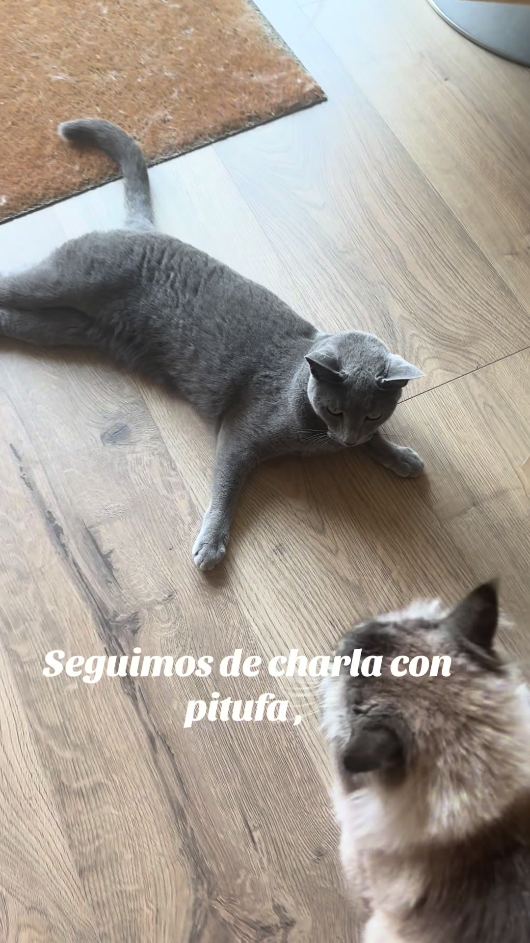 @Ganchito y su tropa