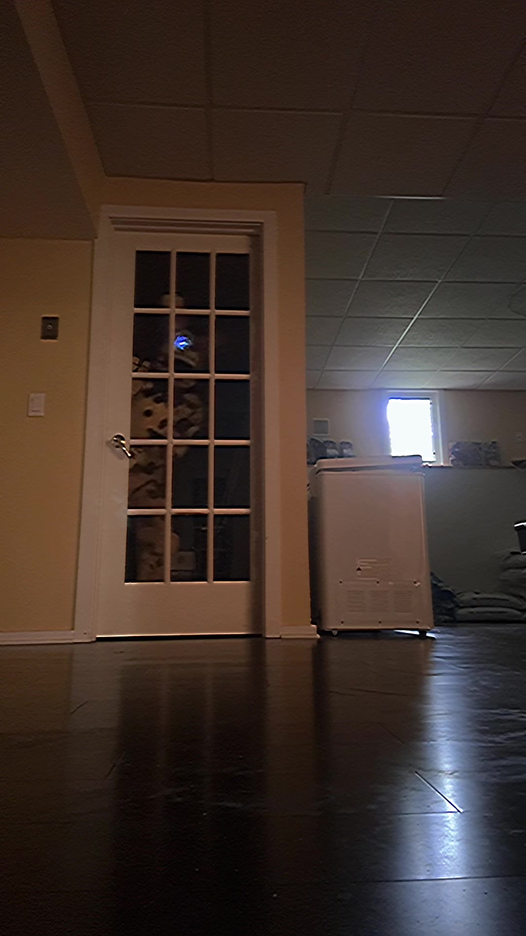 @Serenedrawss
