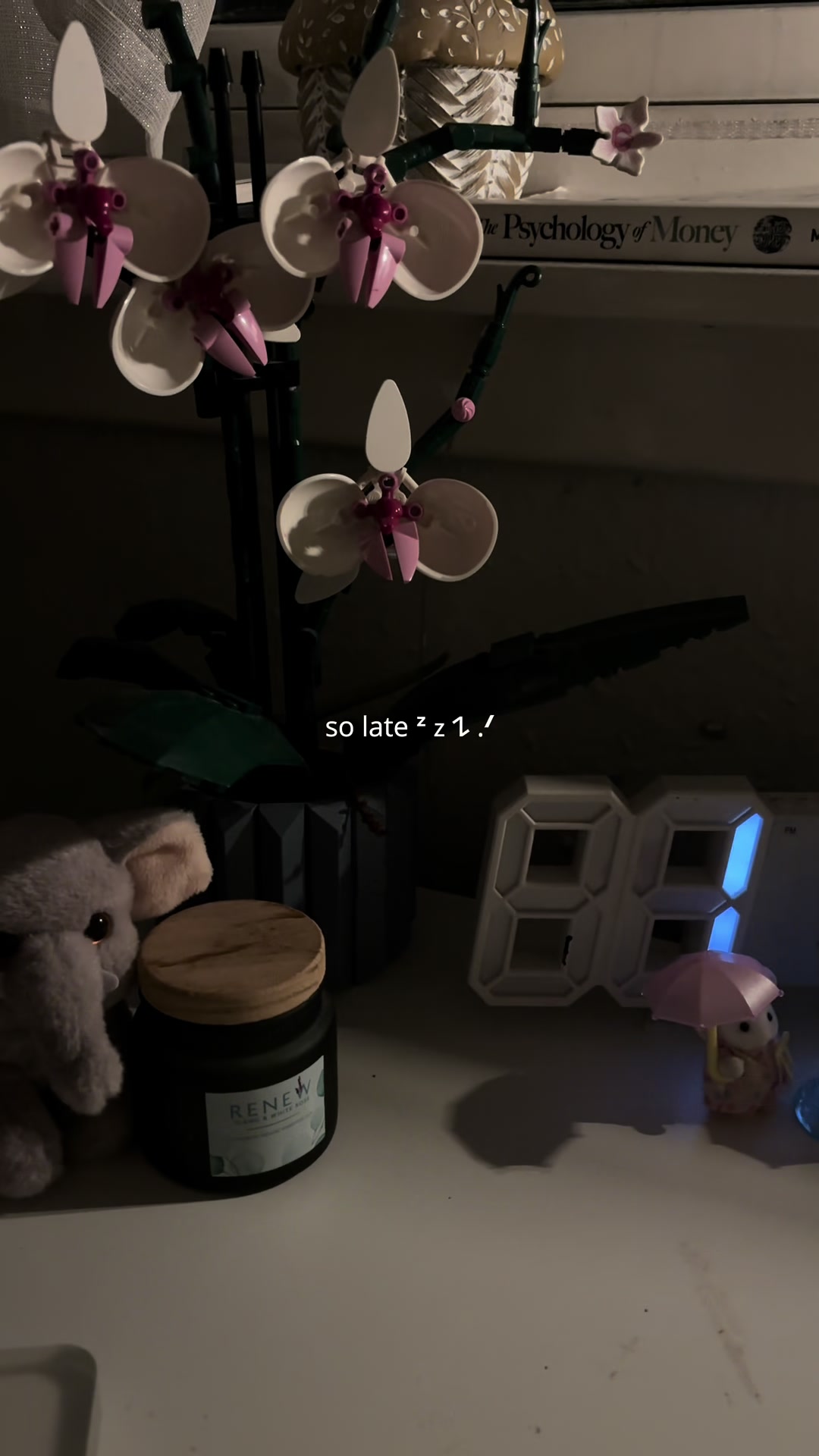 @𐙚⋆°🦢。⋆♡
