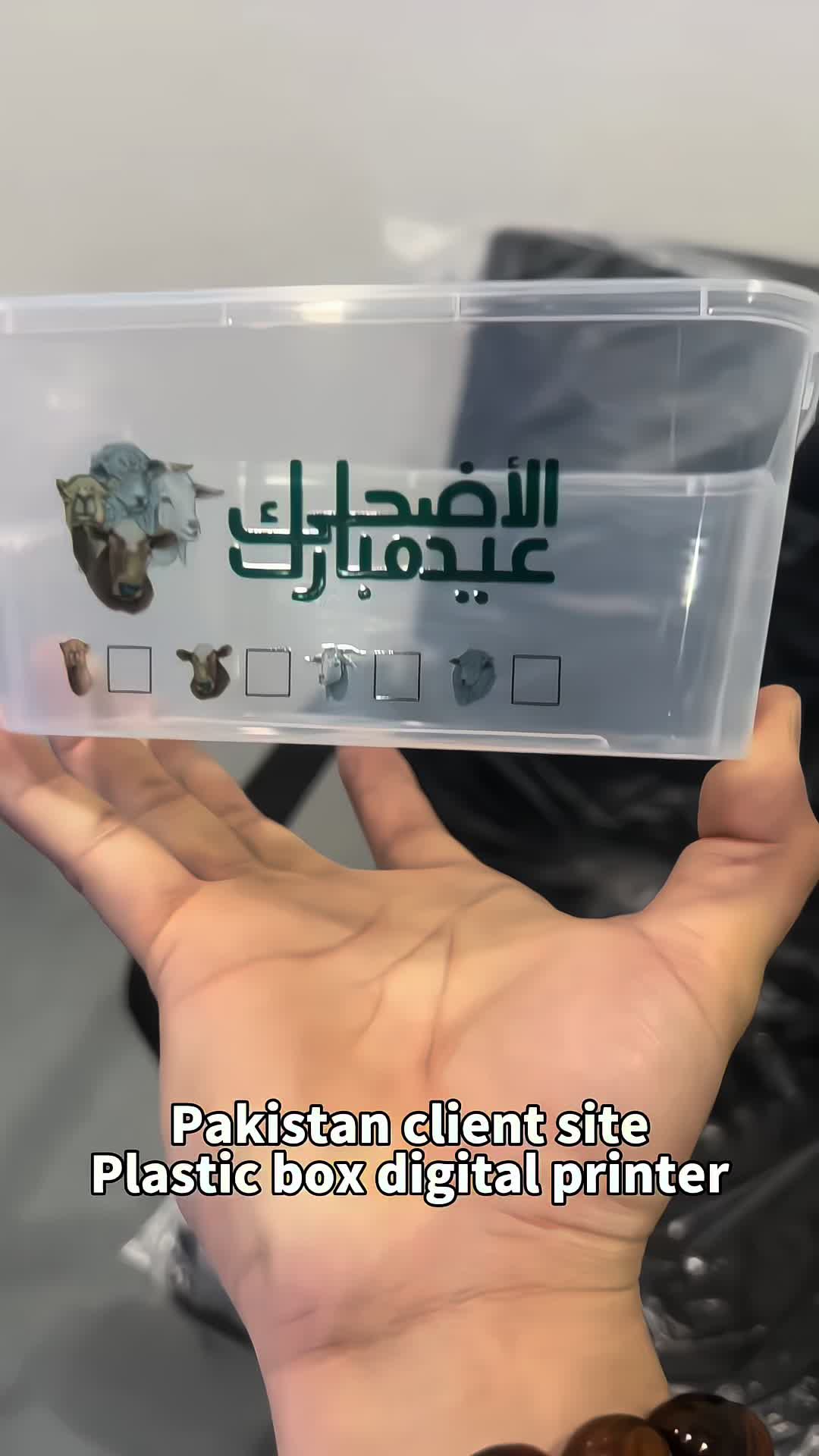 @CSJ digital printer-Eilene
