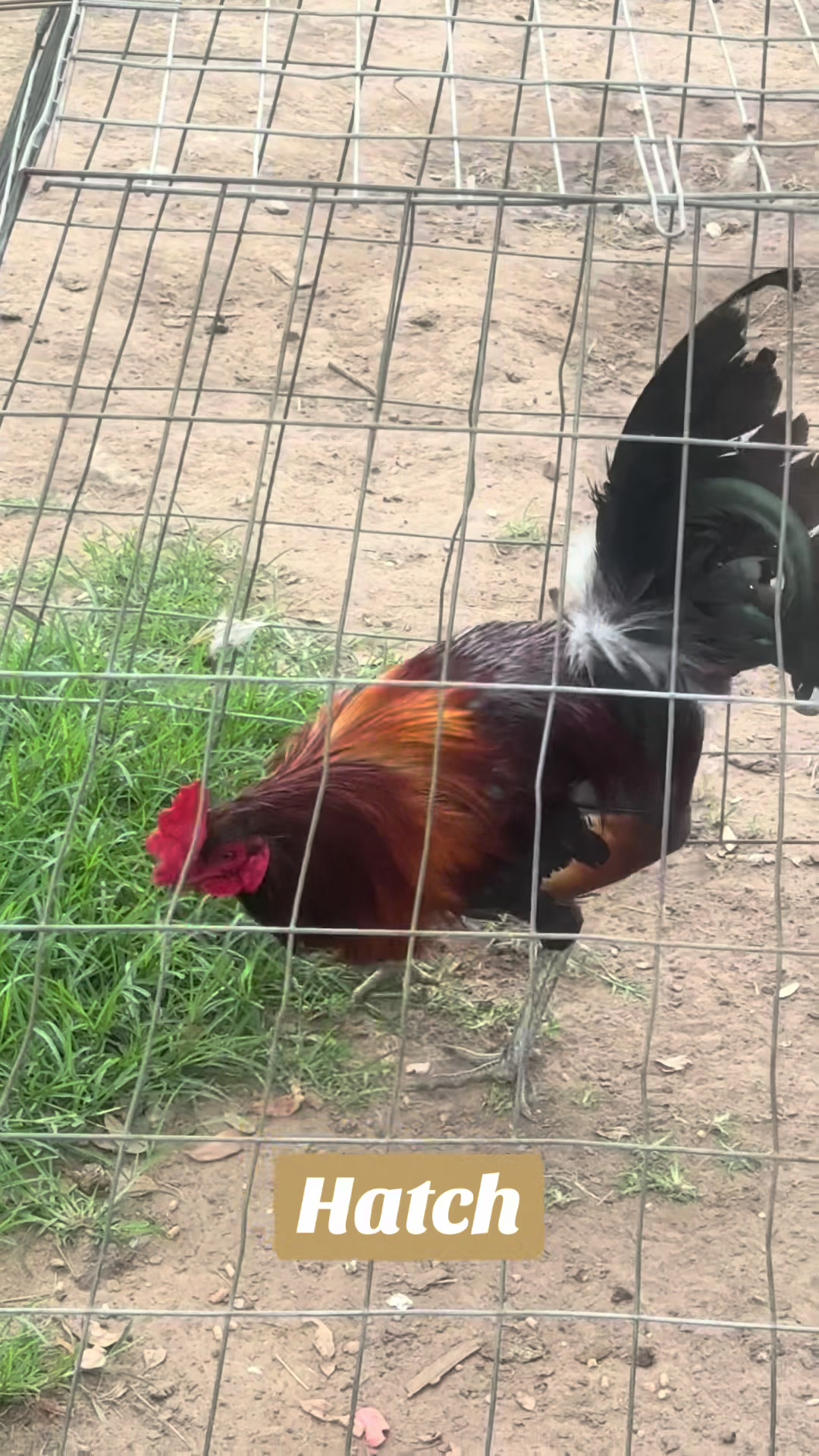 @Bryan Gamefarm