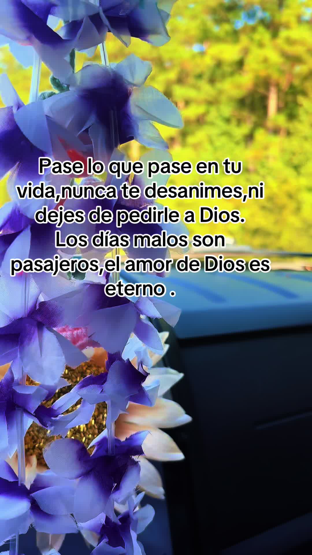 @🌸Belle Marie🌸
