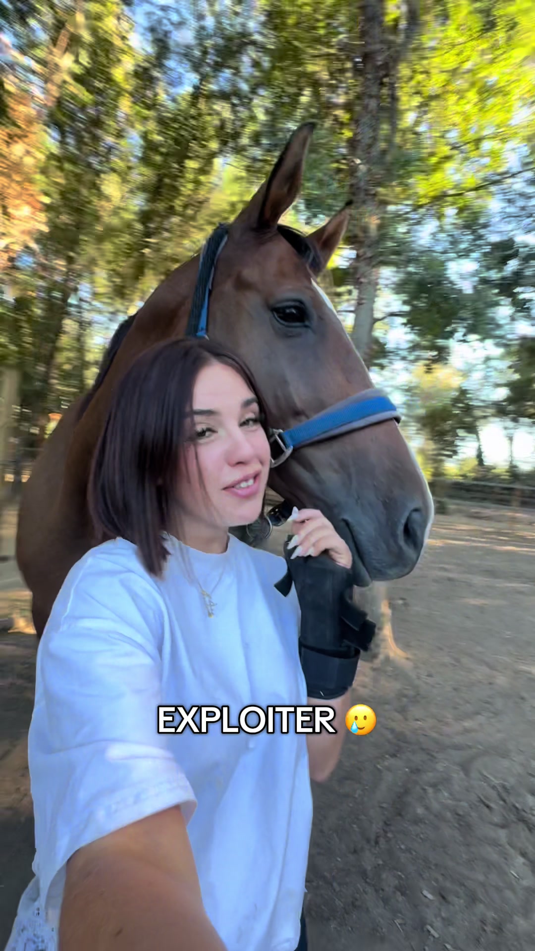 @redolfi_lou