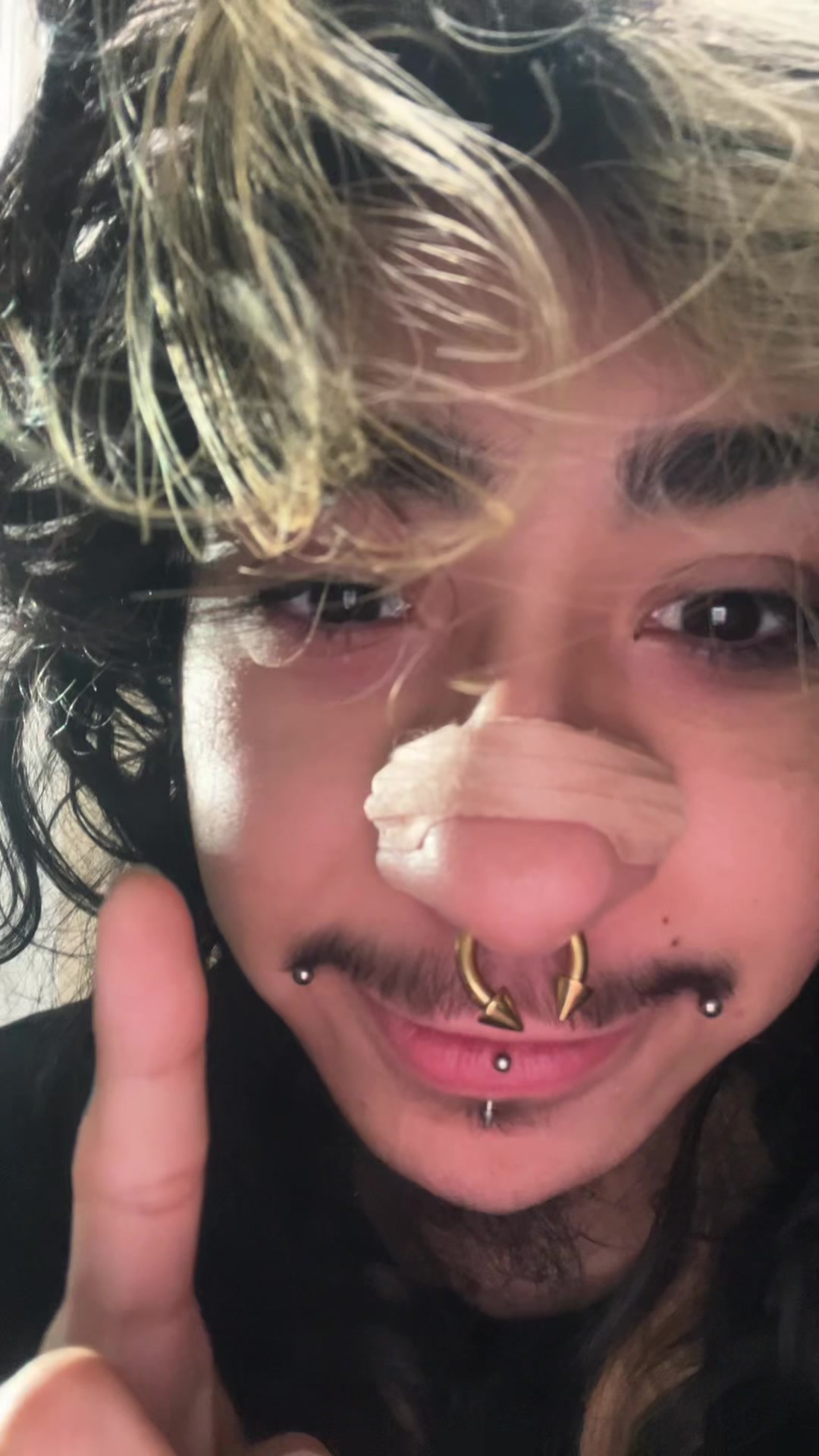 @anselll