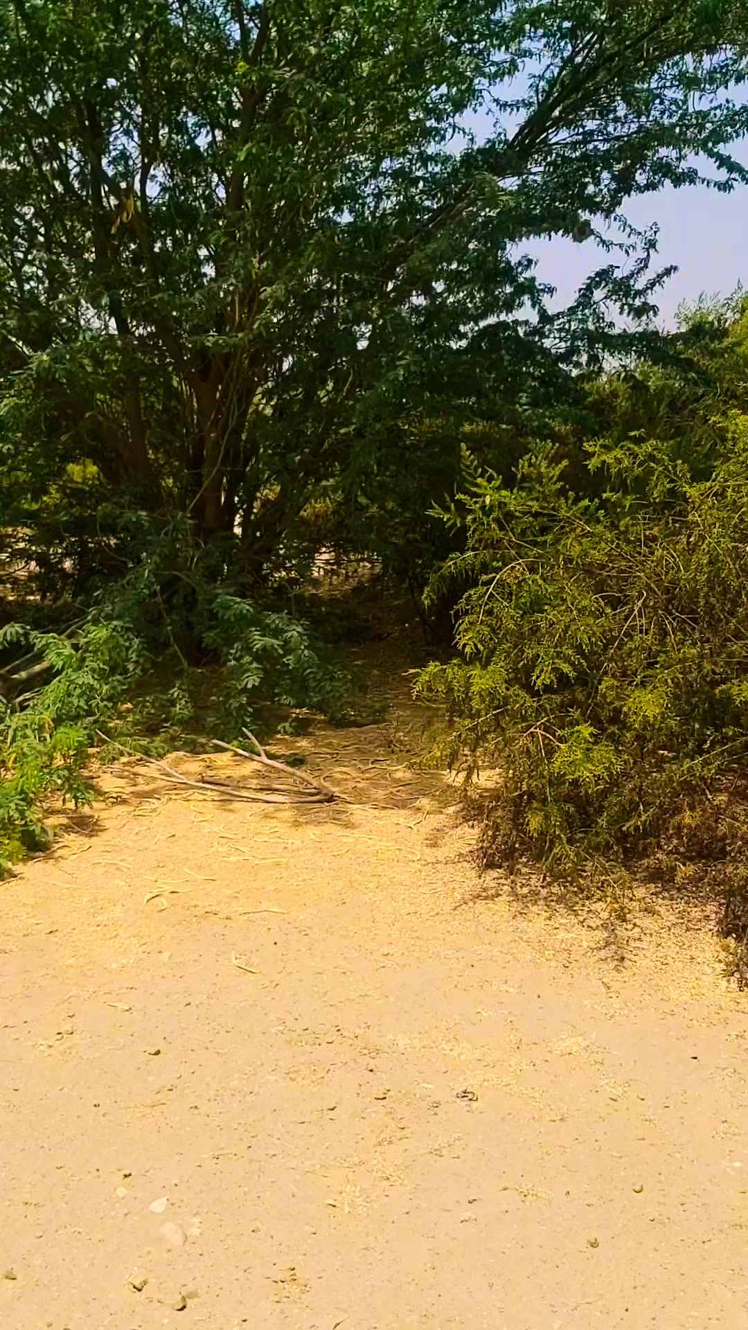 @نوید بلوچ 🇸🇦
