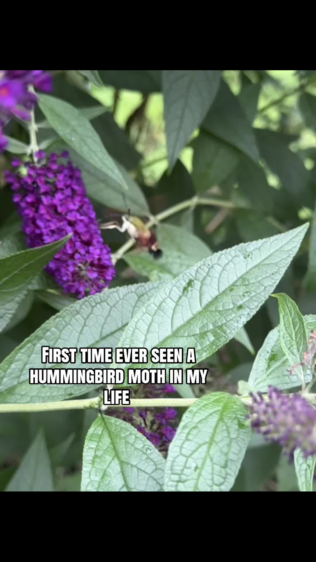 @katecomeswithchaos
