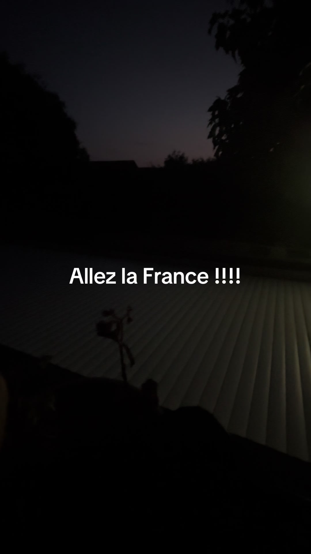 @delphine