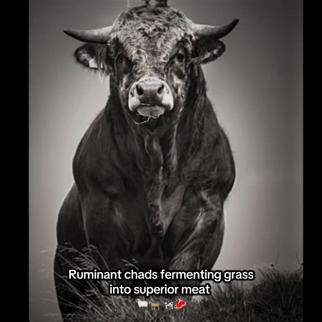 @🥩𝕽𝖆𝖜𝕸𝖎𝖑𝖐𝖂𝖎𝖋𝖊🥛