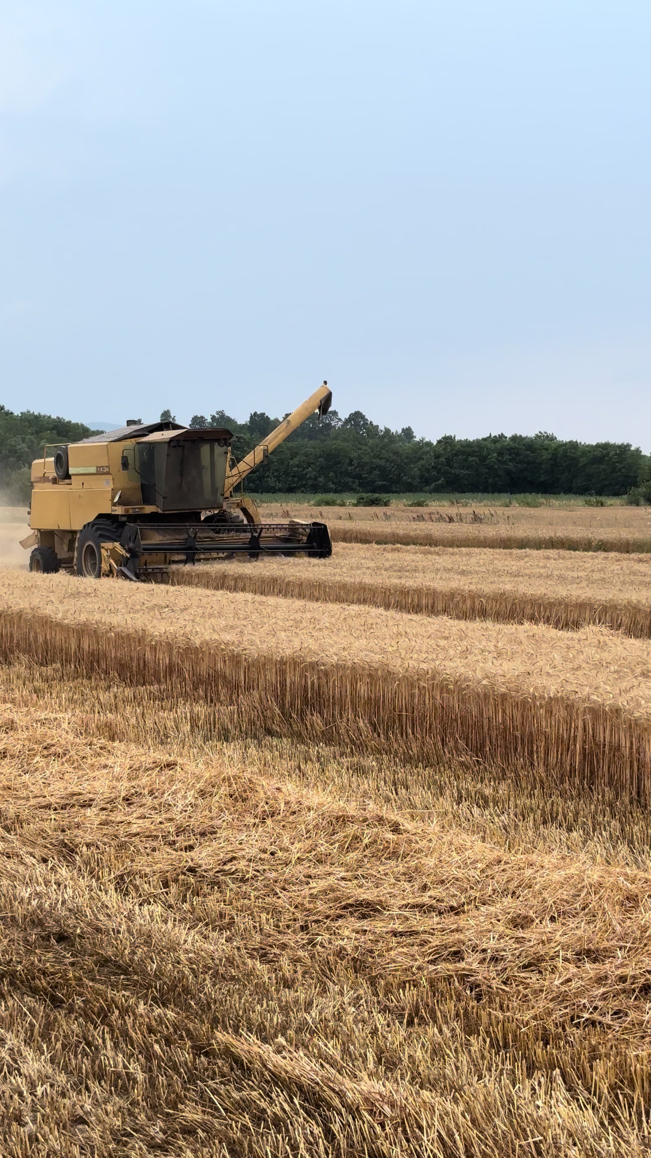 @agriculture_macva_pgdn