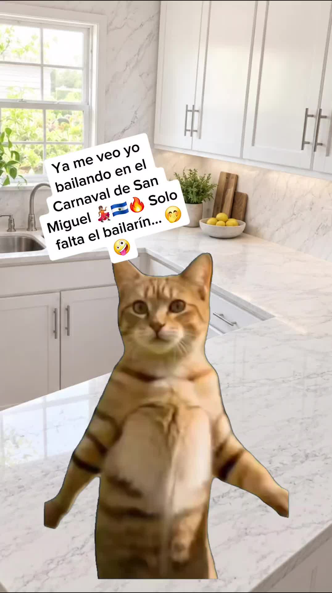 @lau