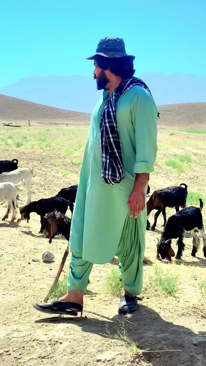 @Sarfaraz Raisani