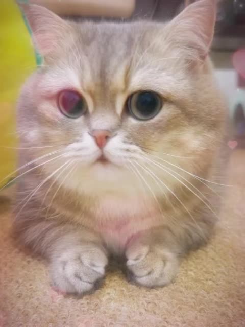 @VyyPilgrim72