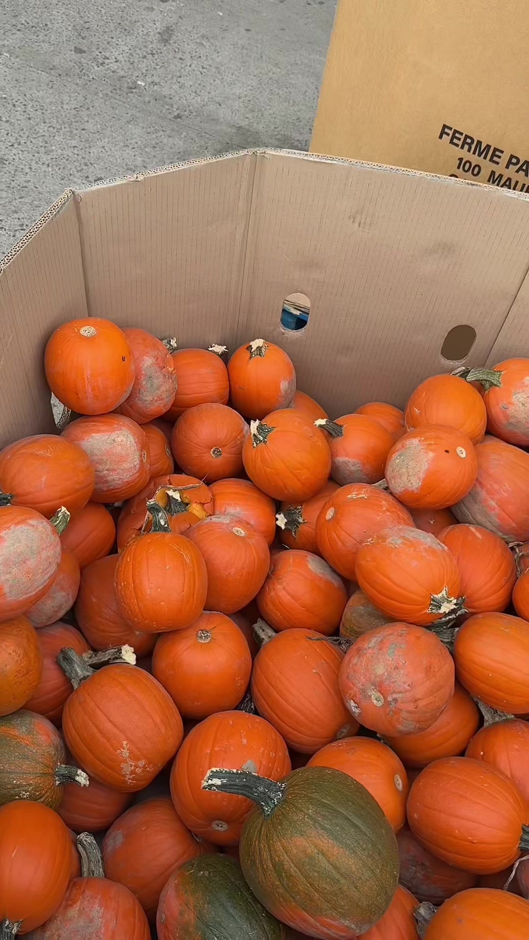 @𝐌𝐈𝐂𝐇𝐄𝐋𝐋𝐄  𝐀𝐍𝐆𝐄