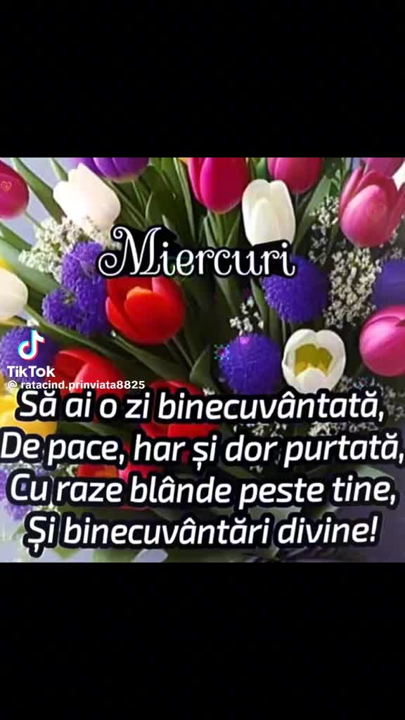 @Amalia Dano ♥️🌹☀️