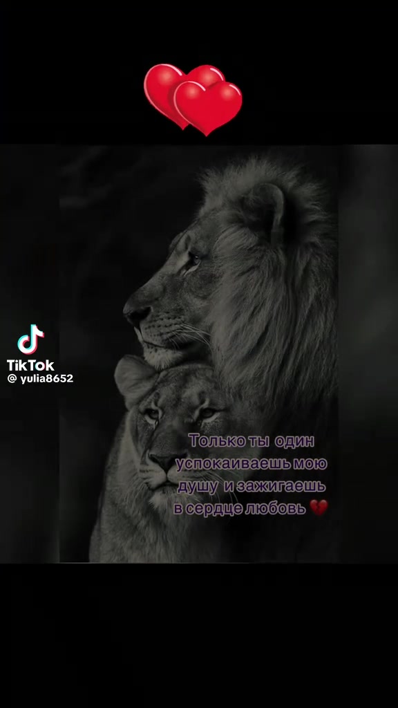 @❤️Кицюнька❤️