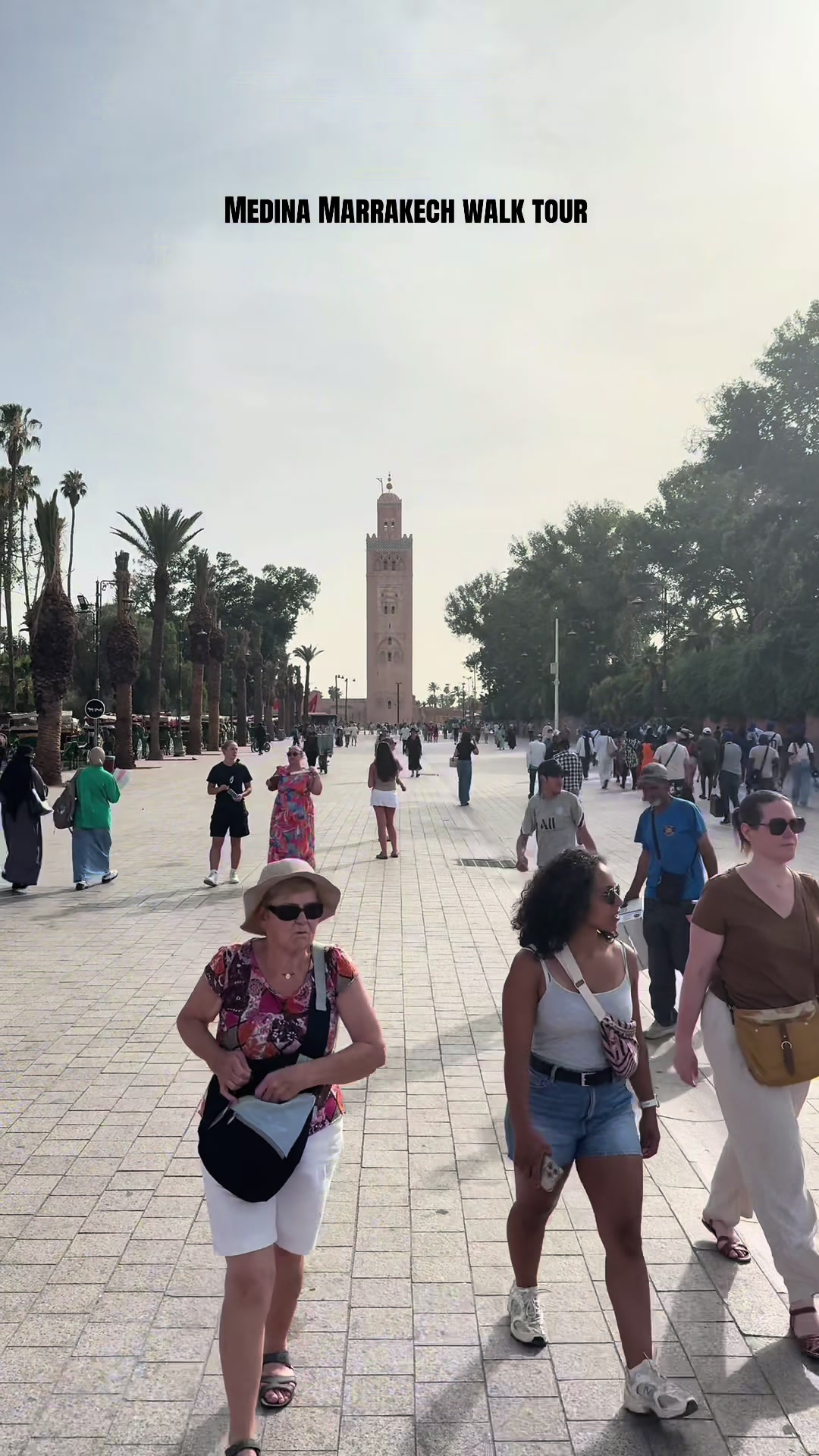 @Morocco top tours