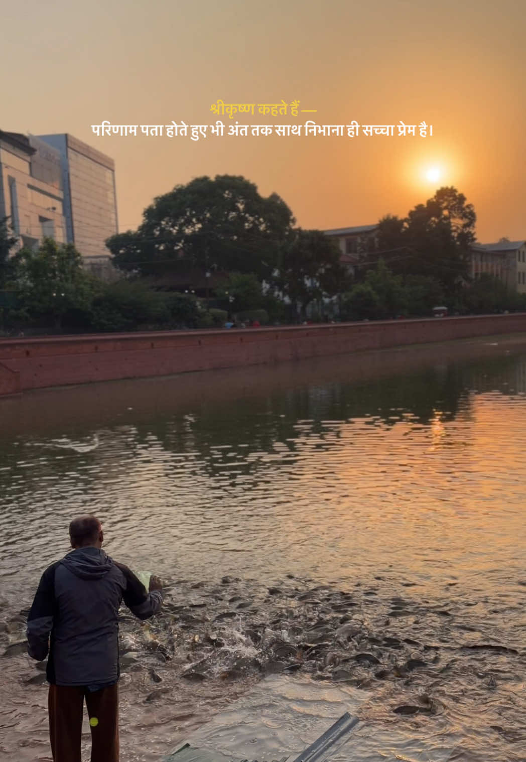 @Baliram_Singh🦋