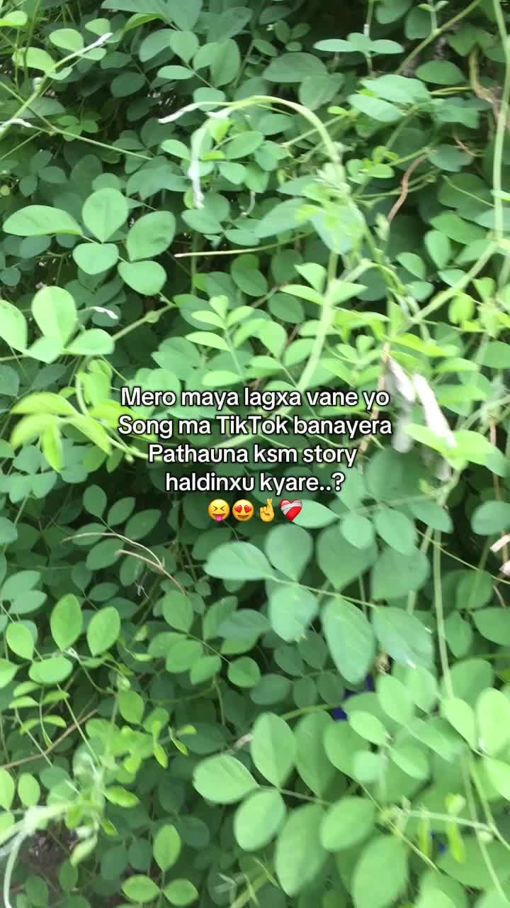 @RIZAN DADA 😜