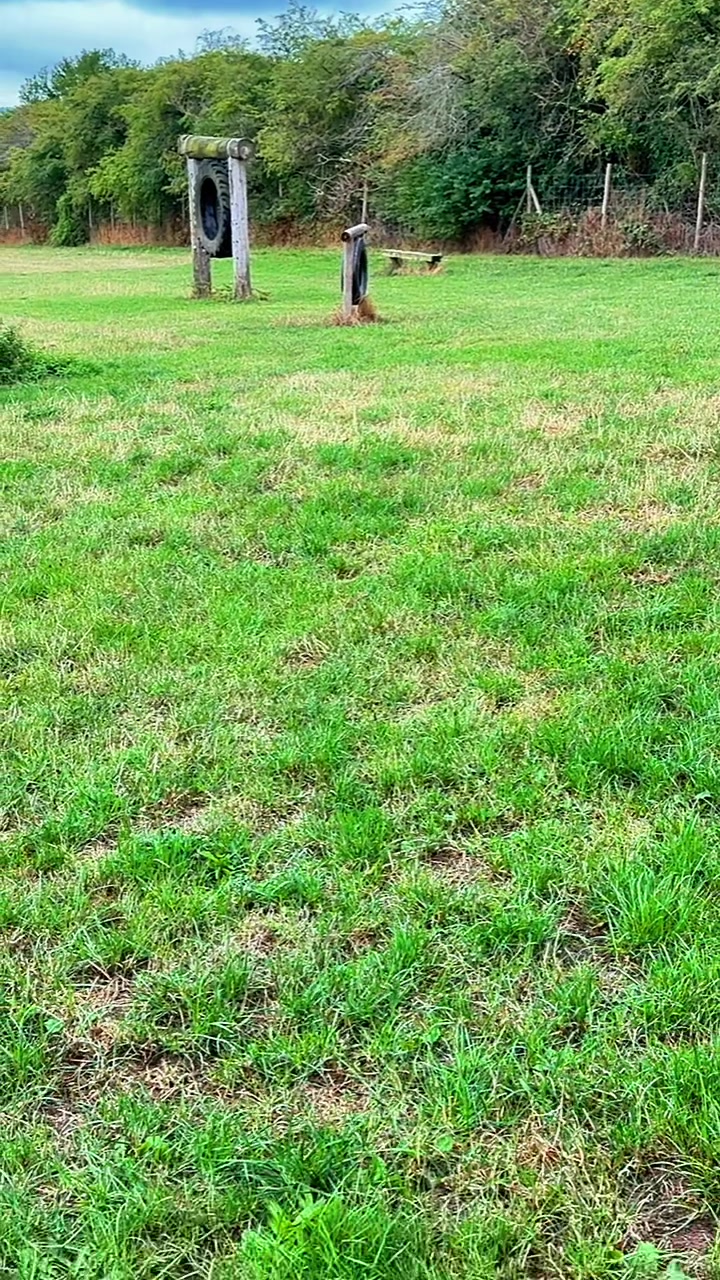 @Cane Corso PatoSquad