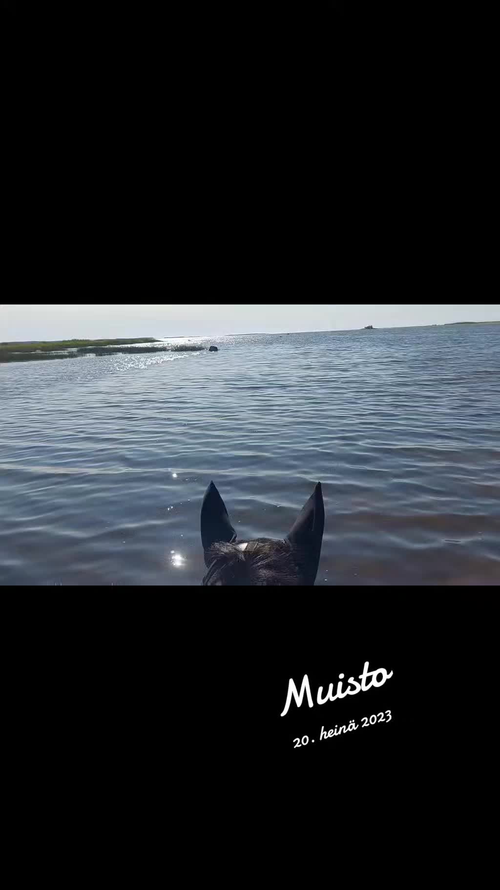 @Beach Horse Stable