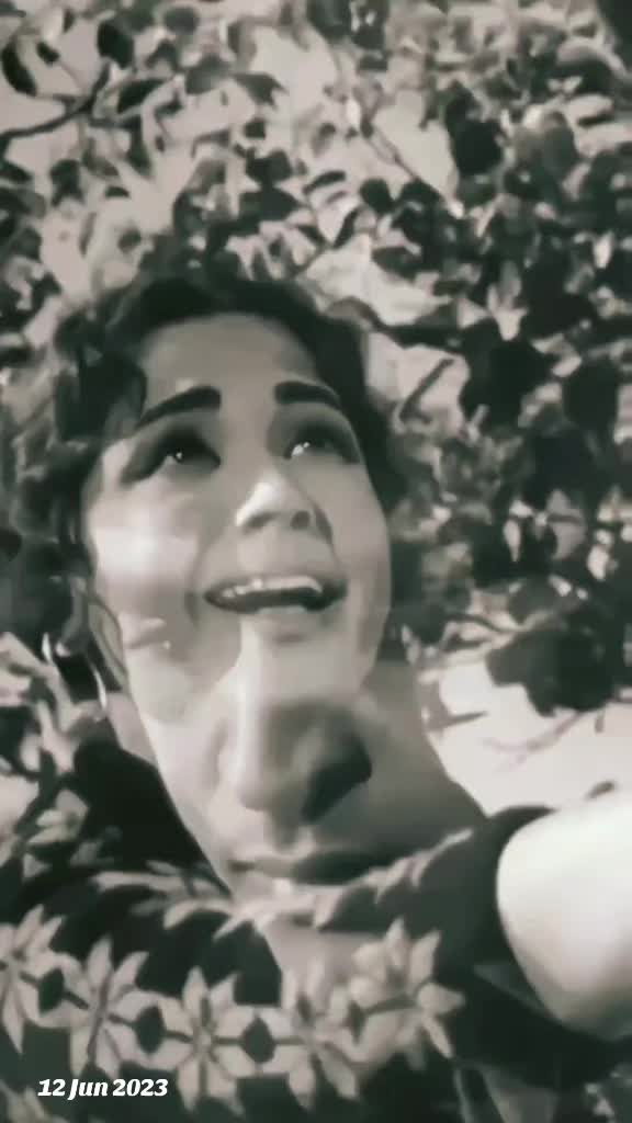 @❤️🧿Evergreen Songs🧿❤️