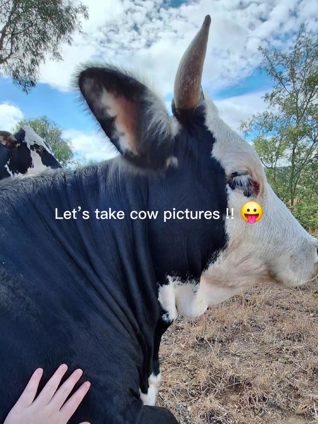 @KayMae