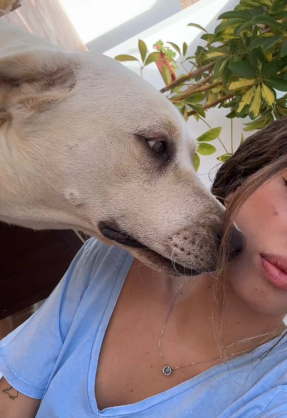 @maariavilloria