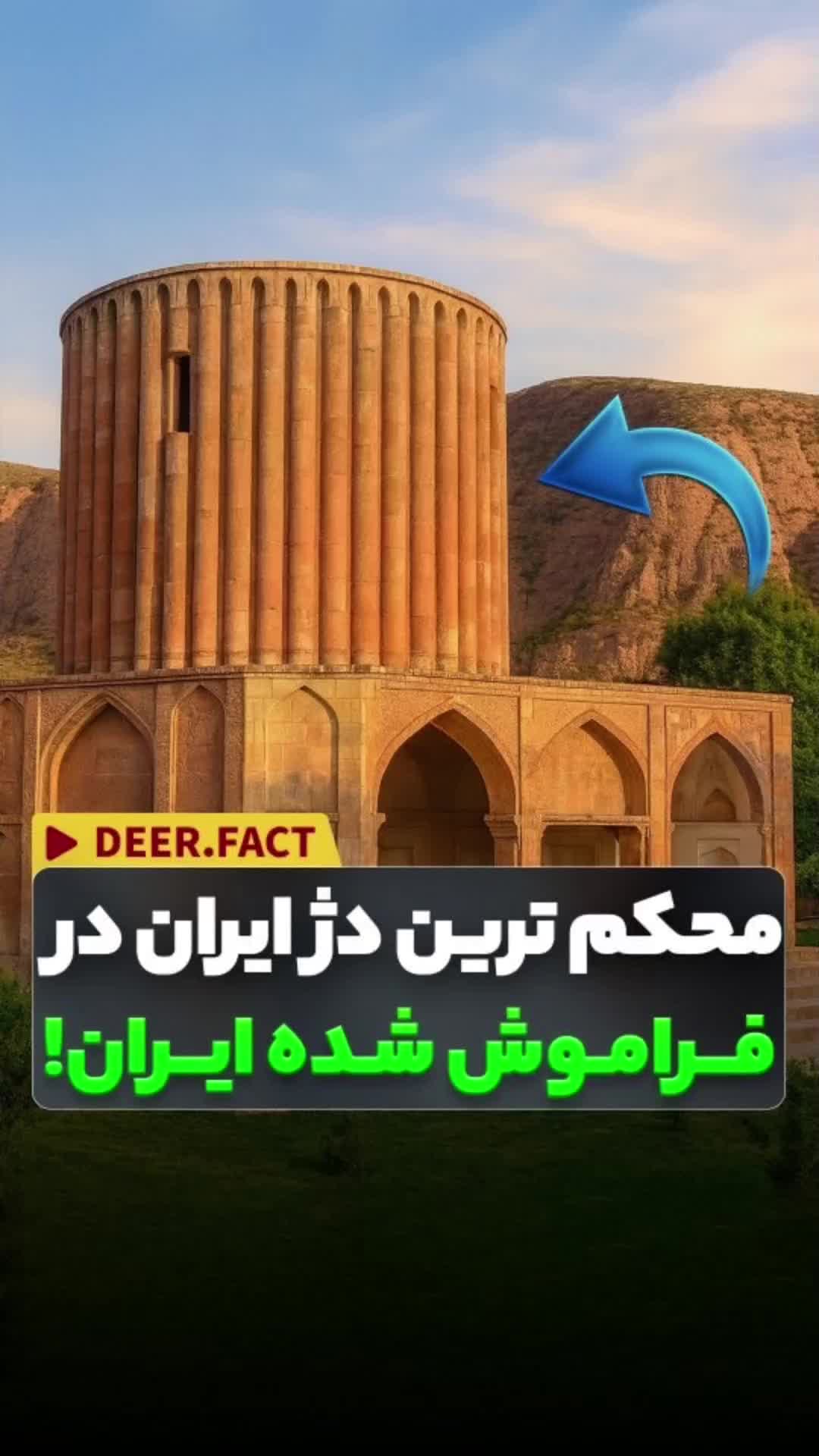 @فکت مغز