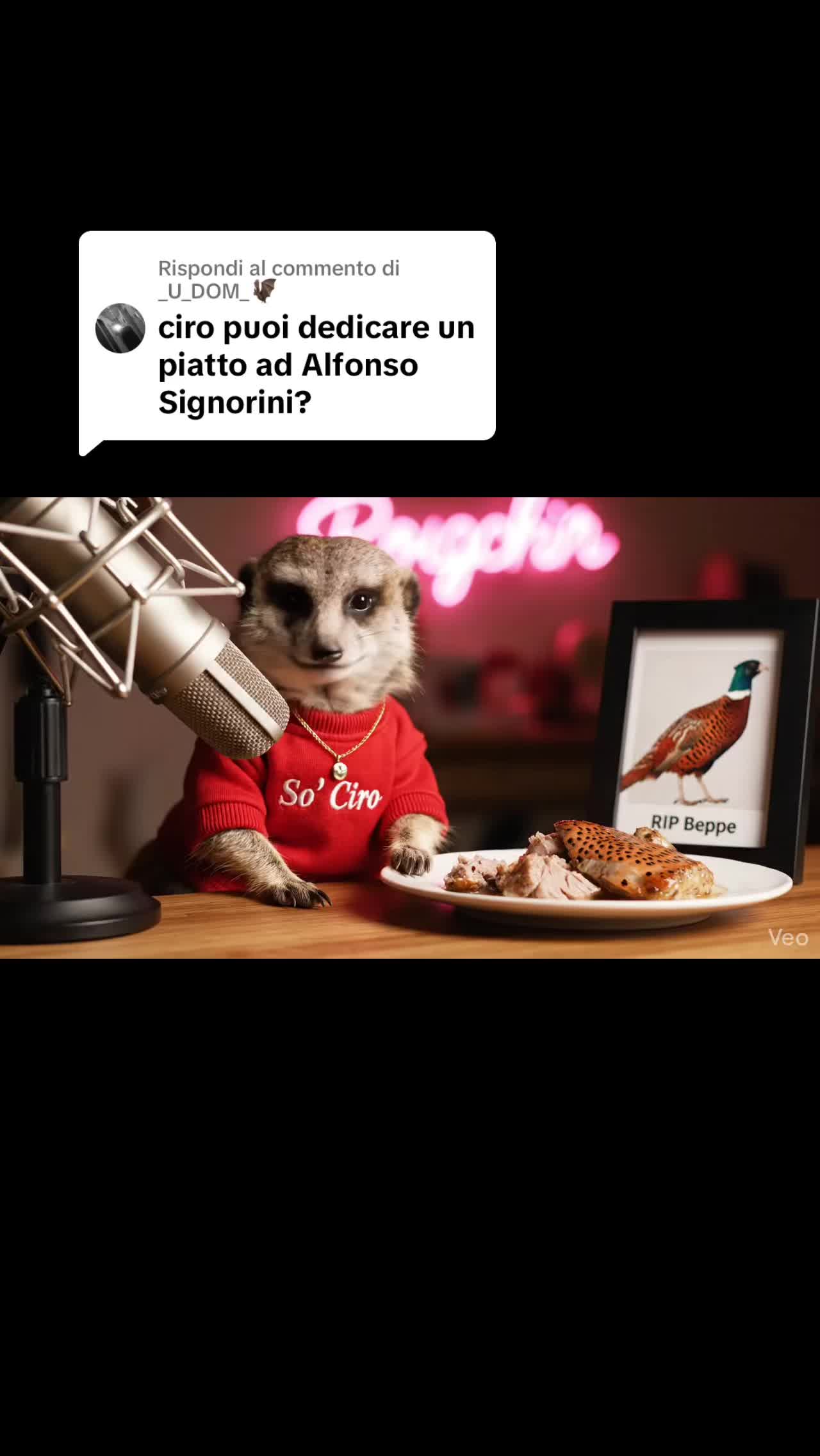 @Ciro il suricato