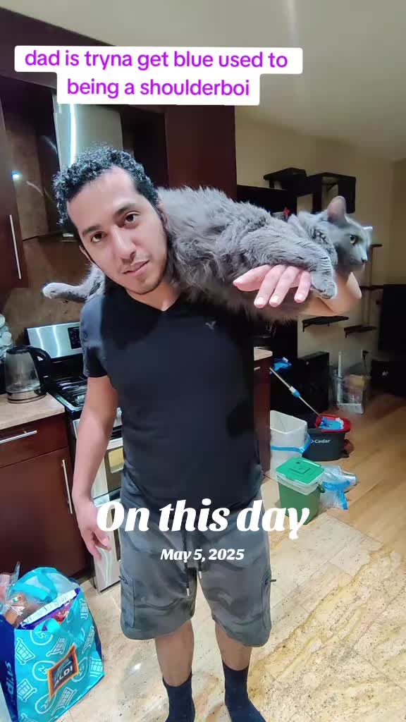 @Kittyboi