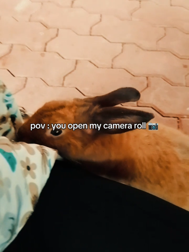 @jaja