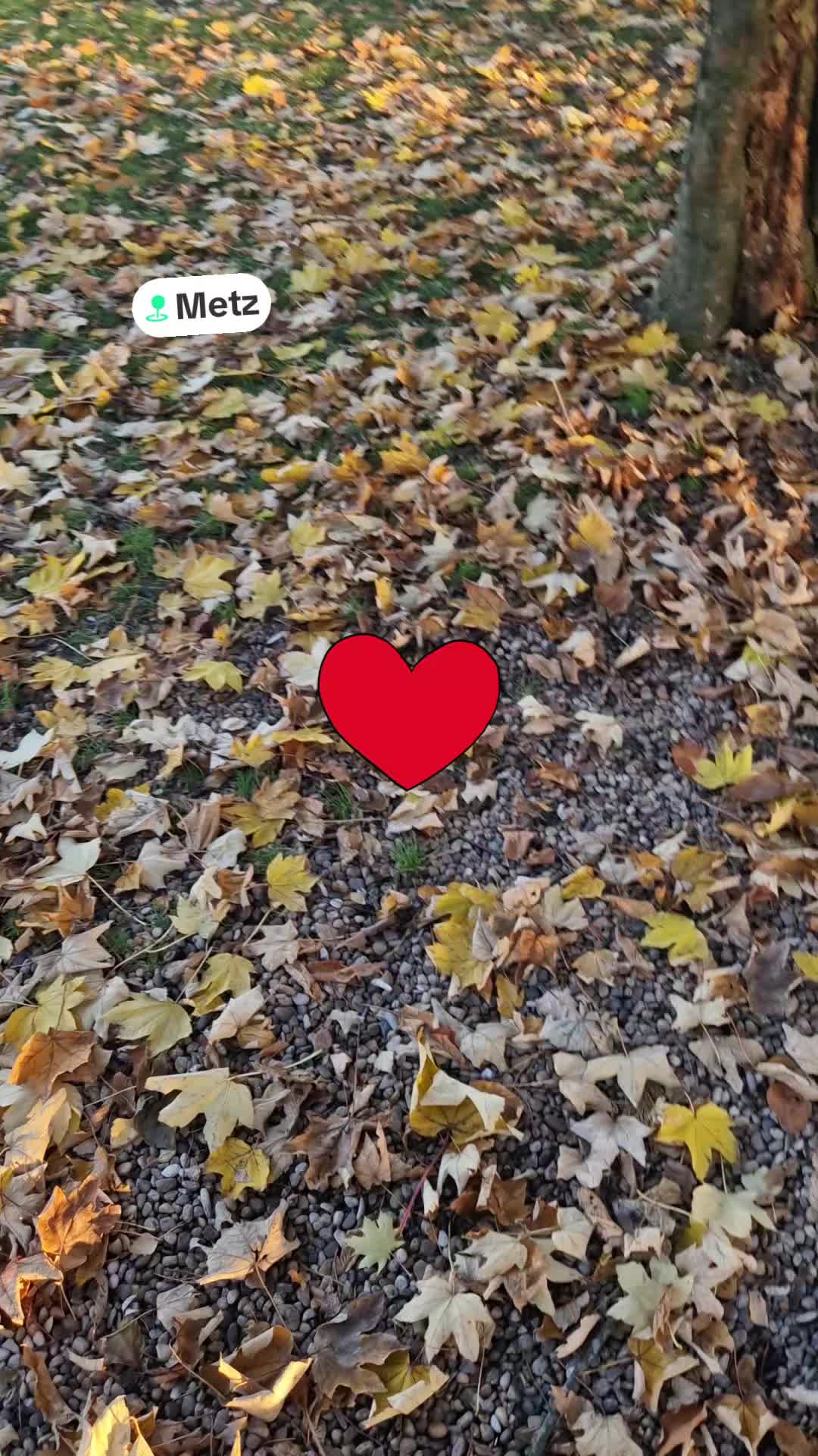 @wideddalhoumi