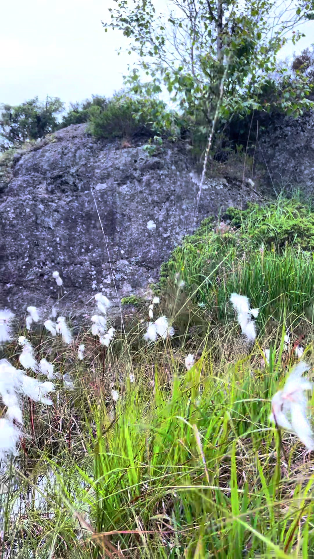 @Nature in Norway