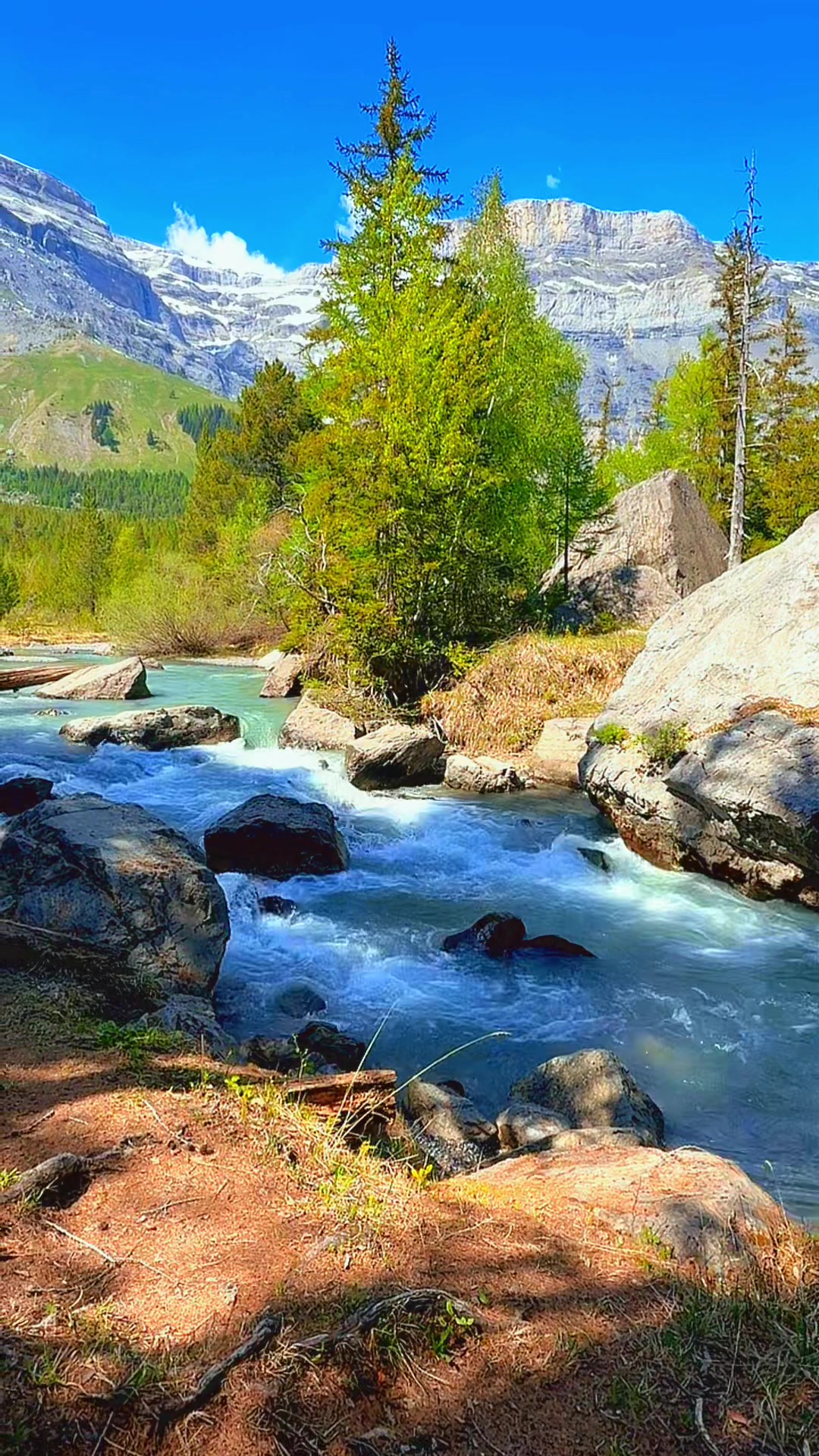 @switzerlland3fanpage