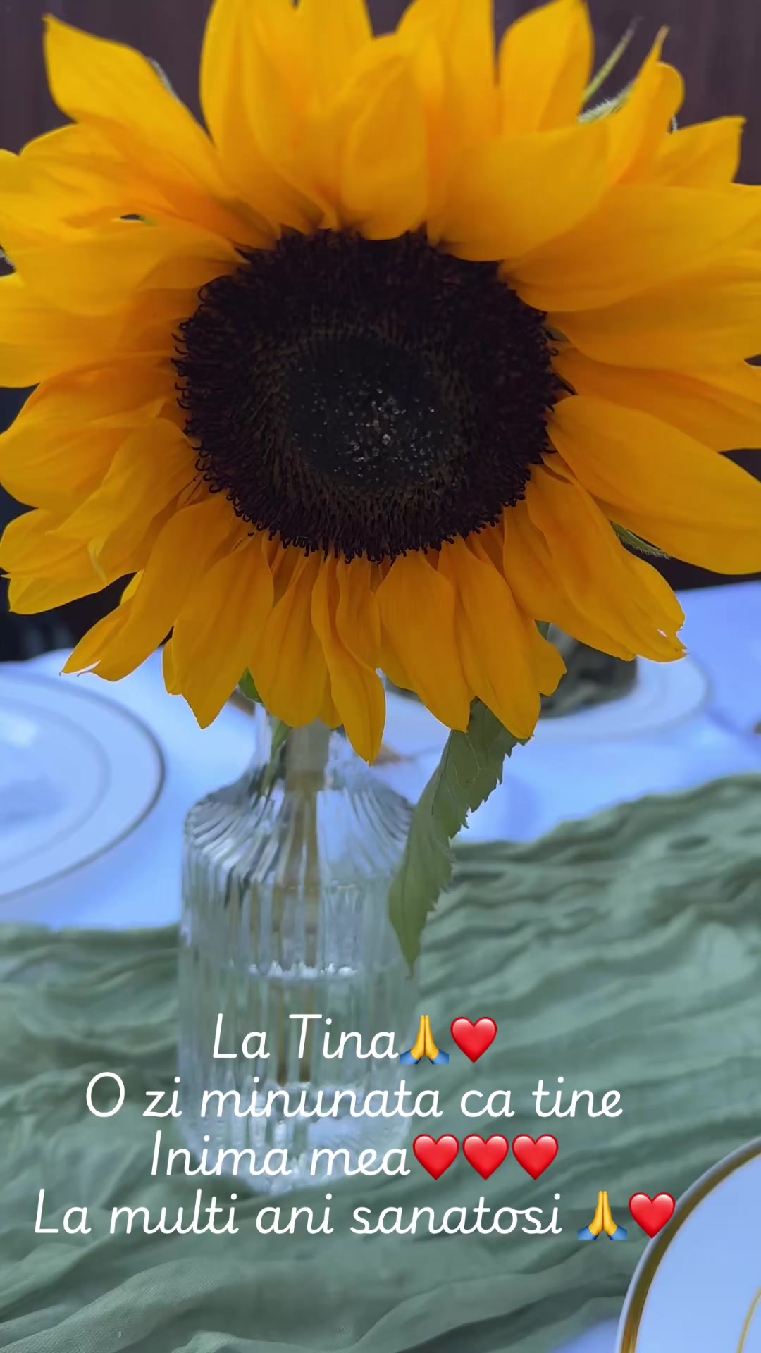 @La Tina
