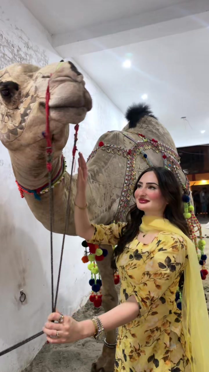 @Zarnab Khan Swati