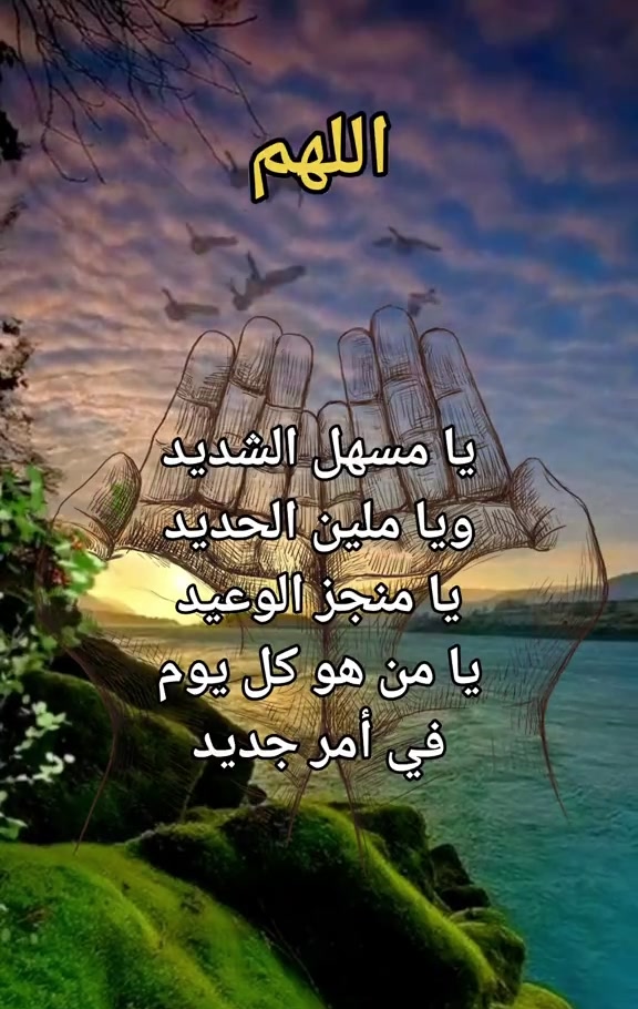@أميرة بأخلاقي 369