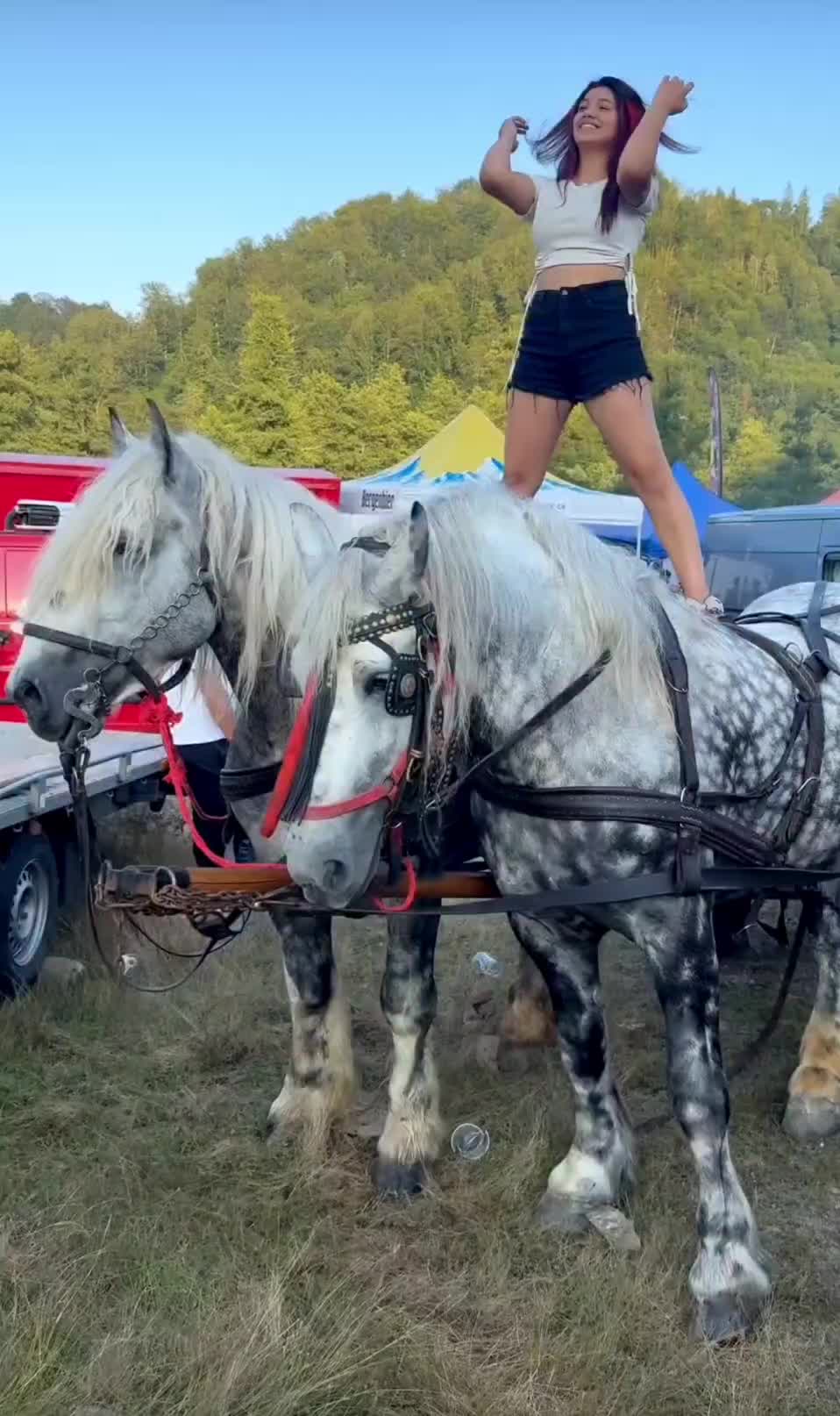 @👑alina🐎👑
