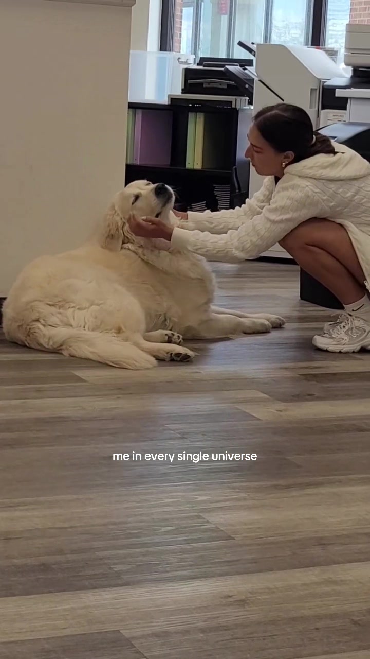 @Mariana Miller