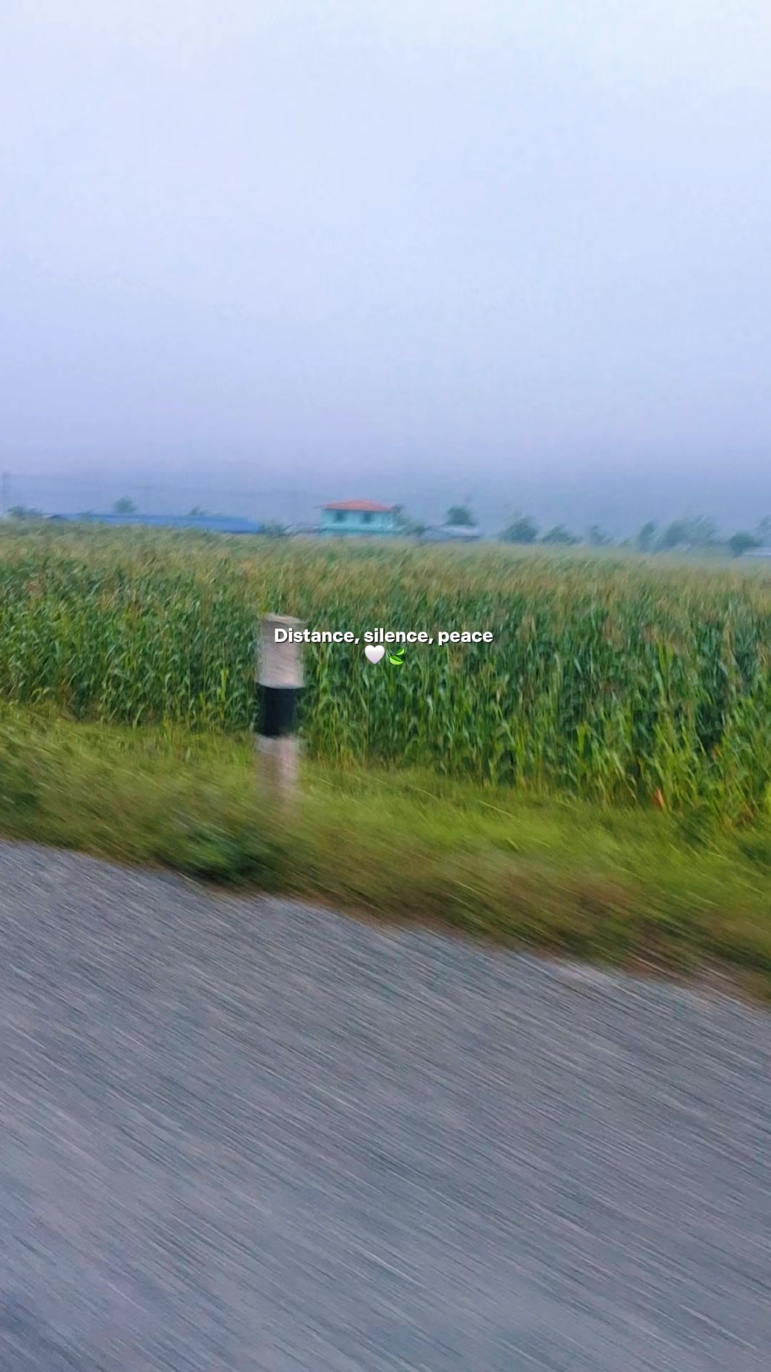 @मुना श्रेष्ठ
