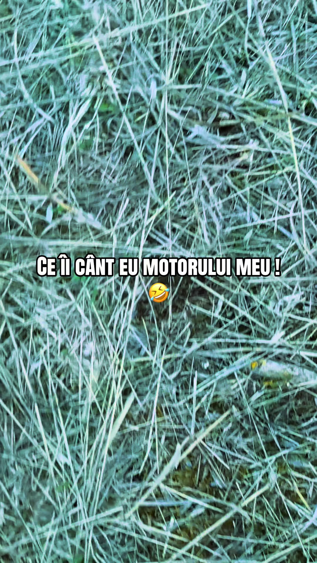 @iM