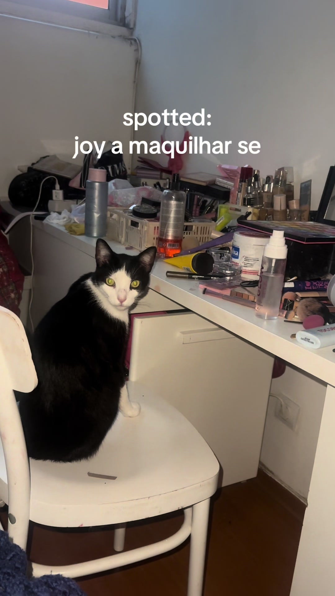 @o incrivel mundo de carol