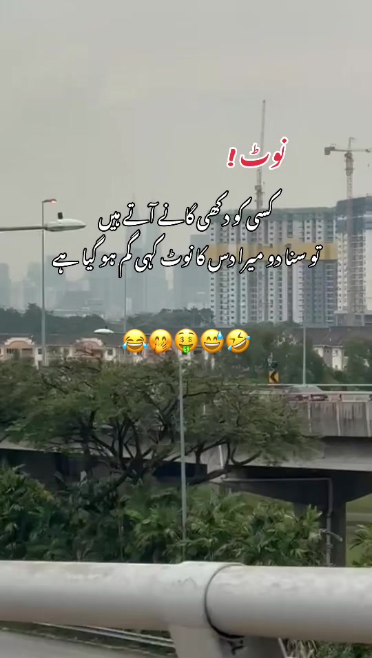 @Mehreen_Ahmed