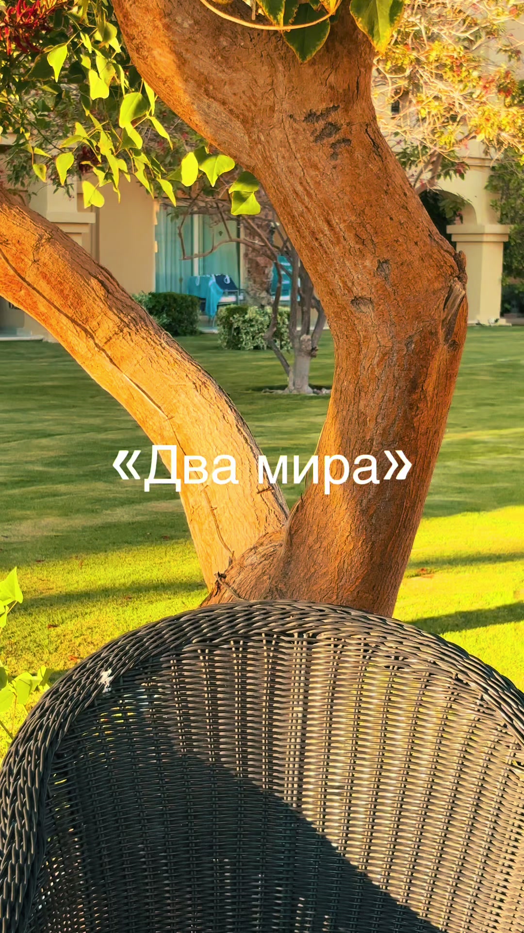 @🪽Алексей Сперанский 🪽