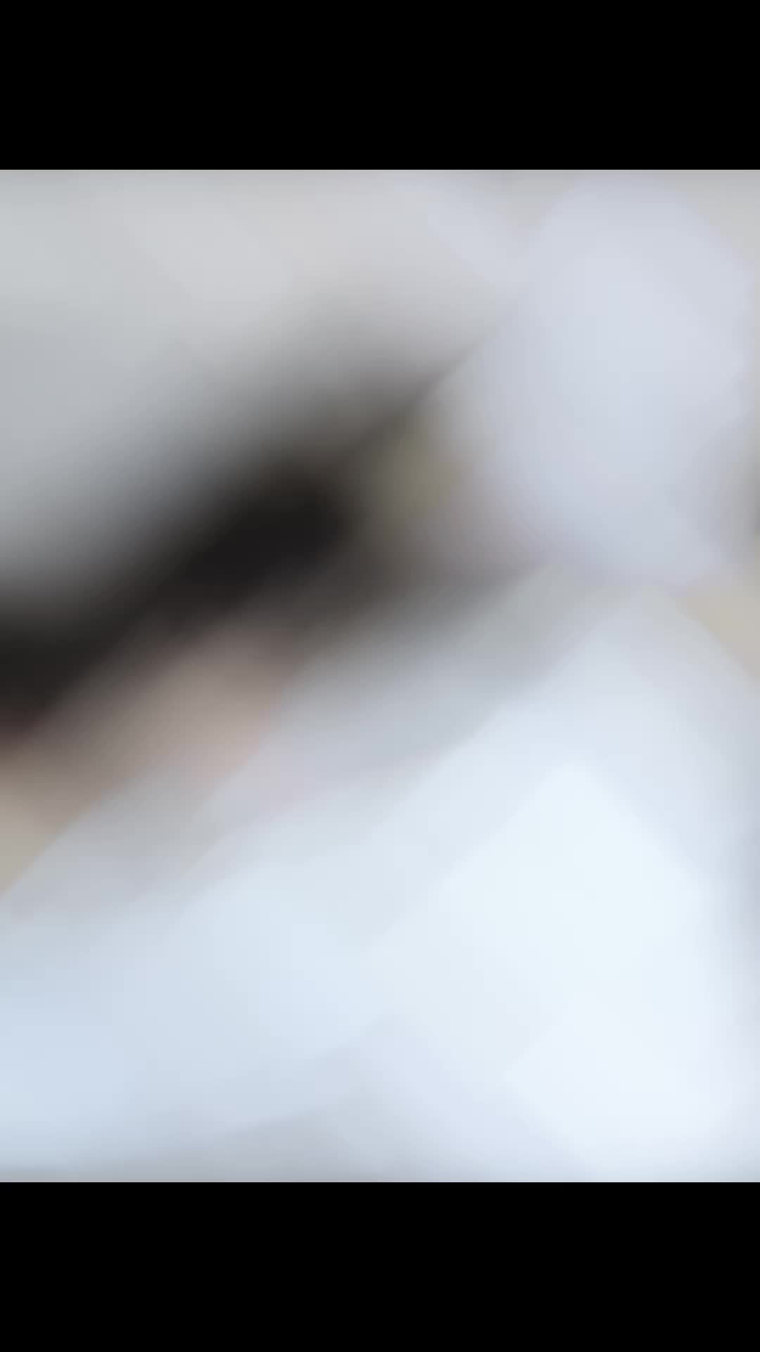 @tolenevdm